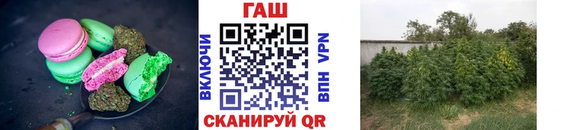 Cannafood марихуана  где продают   Щёлково 