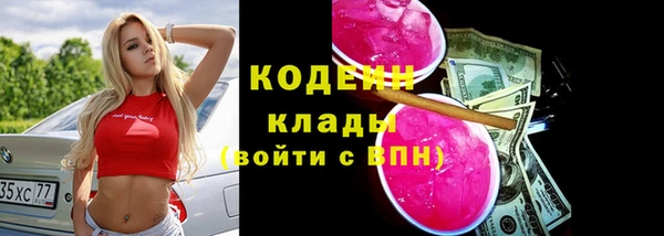 гашик Алзамай